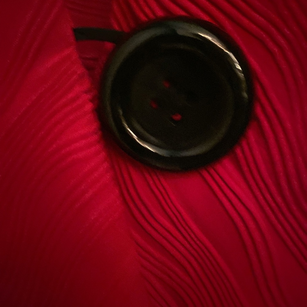 Red Cape Jacket - image 3